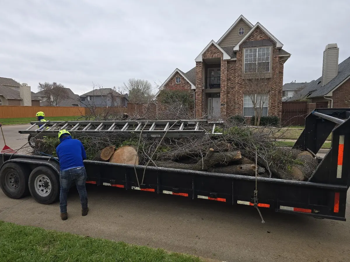 Expert Tree Pest Control with proper safety equipment in Hinsdale